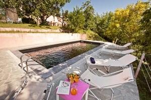Black swimming pool - Cascina rosa b&b, bed and breakfast in Monferrato